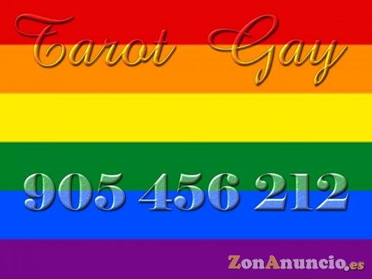 tarot  gay  economico